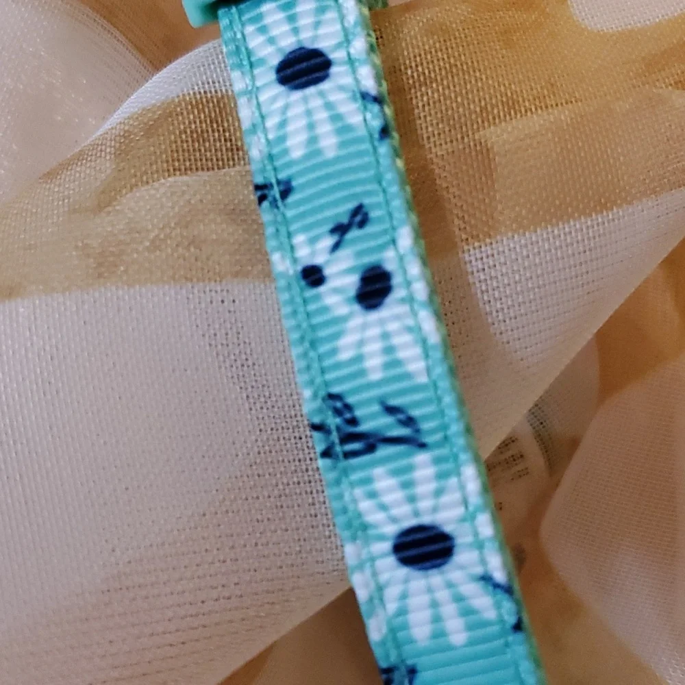 Cat‎ Collar